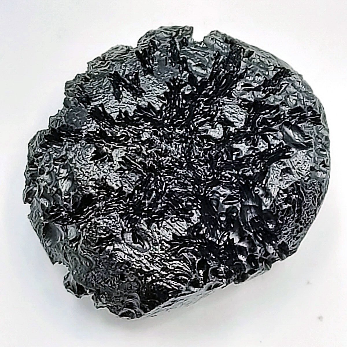 ST8058 : MUSEUM GRADE: RARE Anda (51.2g)Type Indochinite Tektite from Thailand!