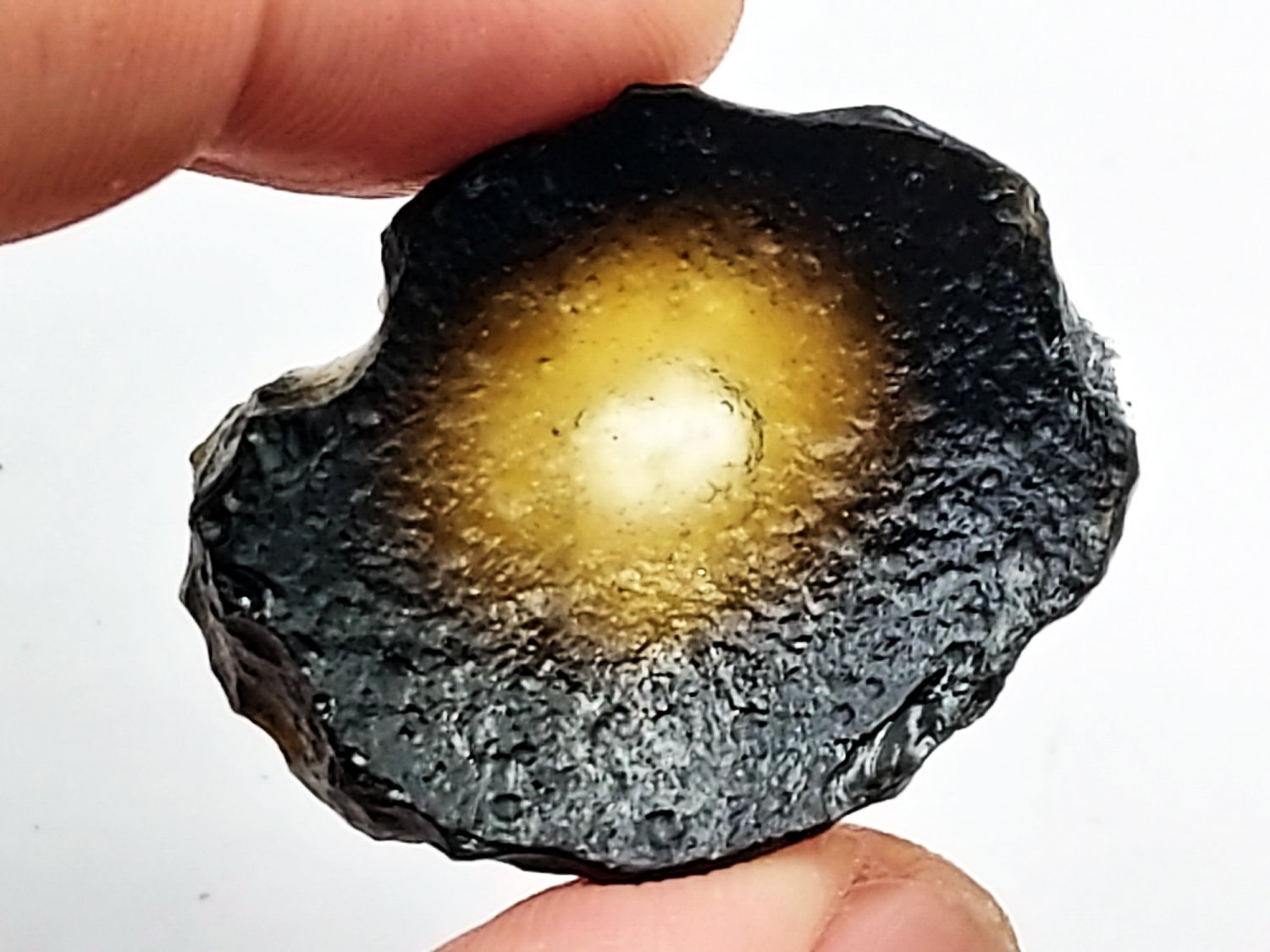 S08533 : Super Rare Concave Lens Shape Collectible Indochinite Tektite