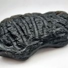 S08176 : Rare Collectible Indochinite Tektite