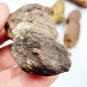 P0694 : Rare Beach-Found Fulgurite: Lightning Strike Glass from Krabi, Thailand