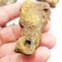 P0694 : Rare Beach-Found Fulgurite: Lightning Strike Glass from Krabi, Thailand