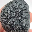 S08134 : Anda Skin Collector Grade  Indochinite Tektite (73g) Meteorite Rare Collectible