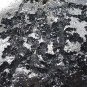 P0562 : Anda Skin MUSEUM GRADE:  Indochinite Tektite (125.2g) Meteorite Rare Collectible