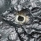 P0668 : Indochinite Tektite (57g) Meteorite Rare Collectible