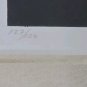 Signed LETICIA TARRAGÓ ( 1940 - ) Untitled 127/150 Serigraph Art Print MEXICO