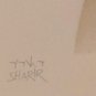 1970 Hand Signed DAVID SHARIR "JACOB'S DREAM" 36/150 Judaica Art Lithograph