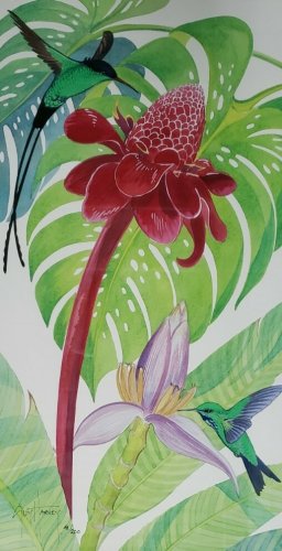 Rare Hand Signed & Numbered GUY HARVEY 41/200 Pink Hummingbird Vintage Art Print