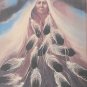 Framed Frank Howell Spirit of The West Native American Indian Chief Poster Art