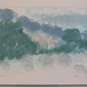Andrew Liu Hand Signed & Numbered 1/1 Field Trip Framed Lithograph Art Print