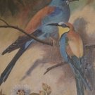 Vintage 1941 Still Life Painting on Board of Two Birds by Fleurette Bender