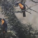 Rare Signed & Numbered Gamini Ratnavira Two Toucans Bird Art Print 30 x 20 Rare Signed & Numbered Gamini Ratnavira Two Toucans Bird Art Print 30 x 20
