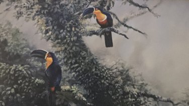 Rare Signed & Numbered Gamini Ratnavira Two Toucans Bird Art Print 30 x 20