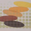 Signed & Numbered Chezan "Spin-off " Geometric Framed AP 5/25 Litho Art Print Signed & Numbered Chezan "Spin-off " Geometric Framed AP 5/25 Litho Art Print