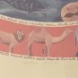 SIGNED 1995 LEE LOEBMAN 114/700 - CREATION - JUDAICA ART FRAMED LITHOGRAPH PRINT