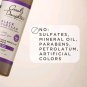 (2) Carolâs Daughter Black Vanilla Shampoo Moisture & Shine System 8.5 oz each