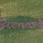 Rare 1992 Signed Roy Bernard Jamaica Cricket Game Players Caribbean Painting