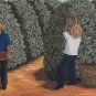 Signed Rosa Maria Coffee Plantation Naif Folk Art Brazil Latin America Painting