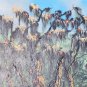 1975 Signed Pedro & Jorge S. Guarderas Landscape Art Canvas Painting EQUADOR