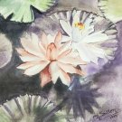 Original & vintage Marion Mimi Sutton Floral Watercolor Painting DeLand Florida