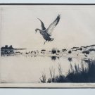 Signed Churchill Ettinger  Mallard Duck Goose Framed Art Etching Maine Vermont