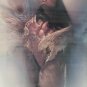 Vintage Lee Bogle Framed âThe Blessingâ SIGNED COA 885/1500 Native Indian Art