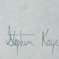 Signed Stephen Kaye - Soaring Bird in Flight Original Art Large Framed Painting