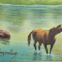 Rare Original Rony Millien Tranquillity in the Countryside Haitian Art Painting