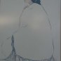 1970's R.C Gorman Navajo Native Indian Woman Litho Print Framed Art, Custom Mats