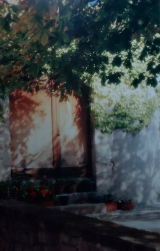 COA Susan Young Signed & Numbered 1/2500 Sunny Door Photographic Art France