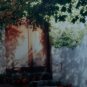 COA Susan Young Signed & Numbered 1/2500 Sunny Door Photographic Art France