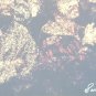 Rare SAUL SHUSTER Patriotic Americana Photographic Original Art Print FLORIDA