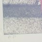 Signed SAUL SHUSTER Americana Photographic Original Print Artist Proof FLORIDA