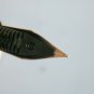 Rare vintage campo marzio original mini green & gold plated fountain pen