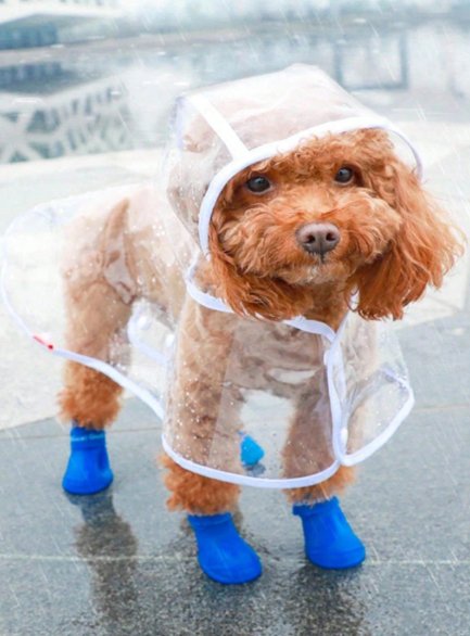 1Pc PU Waterproof Transparent Pet Raincoat, Suitable For Dogs In Rainy Days