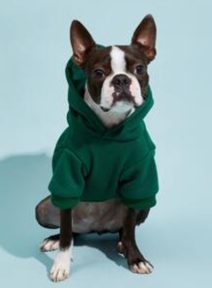 PETSIN Solid Color Pet Hoodie &acirc;�� Comfortable All-Season Wear For Spring,