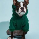 PETSIN Solid Color Pet Hoodie – Comfortable All-Season Wear For Spring,