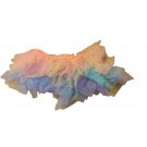Girls Freestyle By Danskin Dance Costume Multi-colored Tutu (4-6x) Skirt