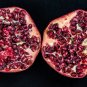 Pomegranate Punica granatum 100 Seeds