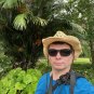 Formosa Palm Arenga engleri 10 Seeds