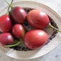 Tamarillo 10 Seeds Tree Tomato Cyphomandra betacea