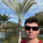 Triangle Palm Neodypsis decaryi 10 Seeds