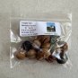 Triangle Palm Neodypsis decaryi 10 Seeds