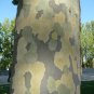 Sycamore 100 Seeds Platanus acerifolia
