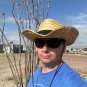 Ocotillo Fouquieria splendens 25 Seeds