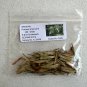 White Ash  100 Seeds  Fraxinus americana