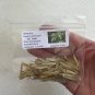 White Ash  100 Seeds  Fraxinus americana