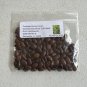 Thornless Honey Locust 100 Seeds Gleditsia triacanthos