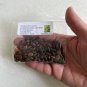 Thornless Honey Locust 100 Seeds Gleditsia triacanthos