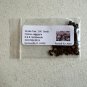 Smoke Tree Cotinus coggygria 100 Seeds