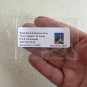 Great Basin Bristlecone Pine Pinus longaeva 10 Seeds